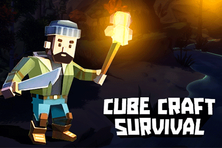 Jeu Cube Craft Survival