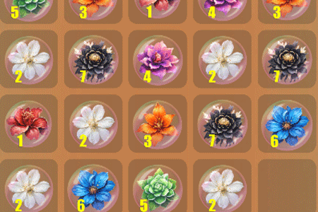 Jeu Dice Puzzles Flowers