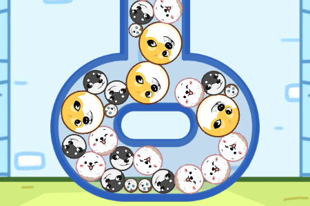Jeu Doge Bottle