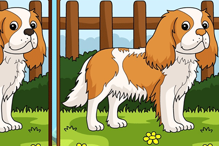 Jeu Différences Chiens