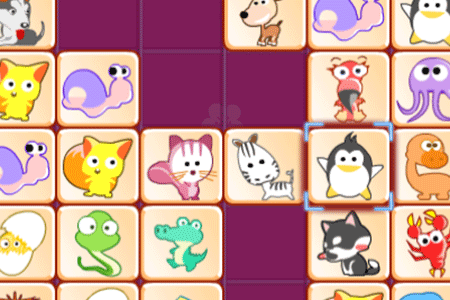 Jeu Dream Pet Link