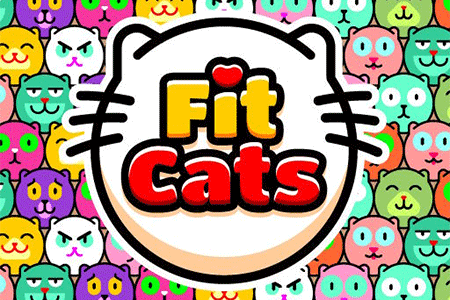 Jeu Fit Cats