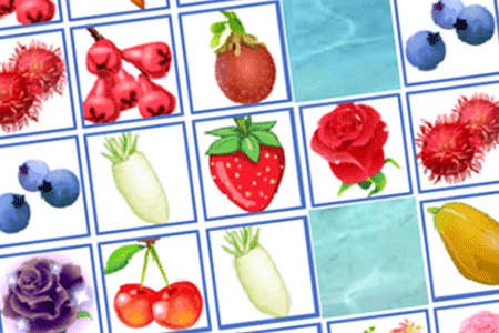 Jeu Fruit Connect