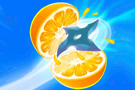 Jeu Fruit Slice Juice