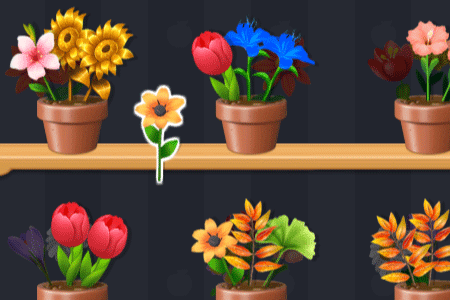 Jeu Good Flower Master