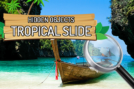 Jeu Objets Cachés Diapositive Tropicale