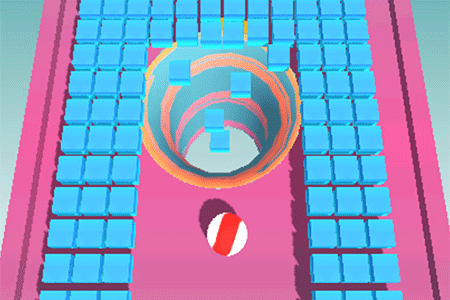 Jeu Holeminator