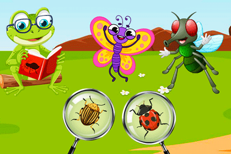 Jeu InsectaQuest Adventures