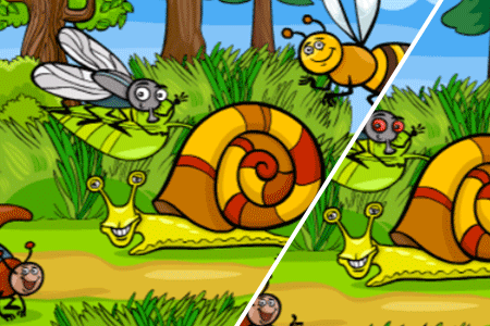 Jeu Différences Insectes