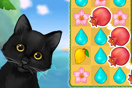 Jeu Island Puzzle