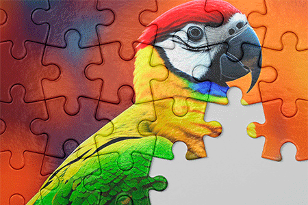 Jeu Jigsaw Master 2