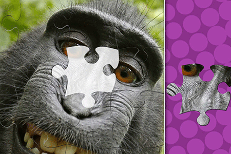 Jeu Jigsaw Master