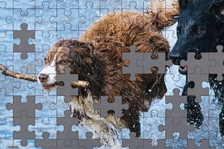 Jeu Jigsaw Puzzle
