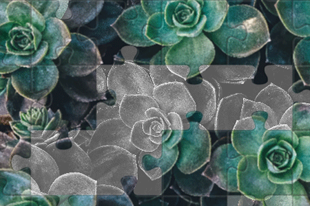 Jeu Jigsaw Puzzle Photos