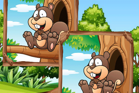 Jeu 5 Différences Jungle