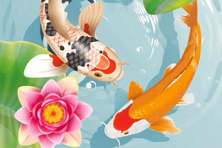 Jeu Koi Fish Pond