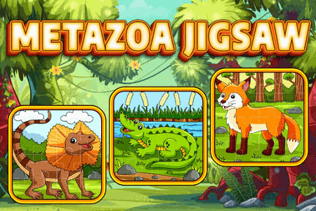 Jeu Metazoa Jigsaw