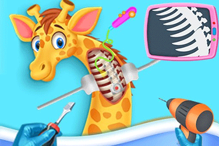 Jeu Clinique Vétérinaire Animaux Sauvages
