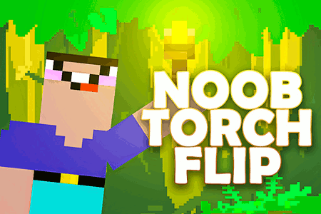 Jeu Noob Torch Flip 2D