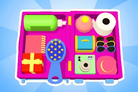 Jeu Organizer Master