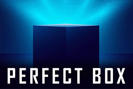Jeu Perfect Box