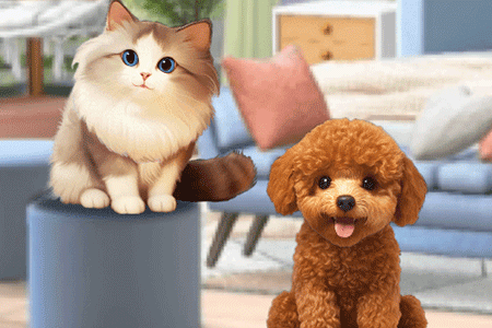 Jeu Pet Salon 2