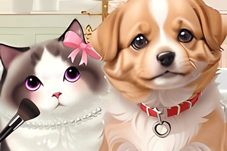 Jeu Pet Salon