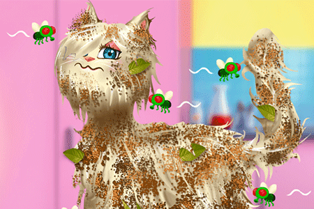 Jeu Clinique et Spa des Animaux