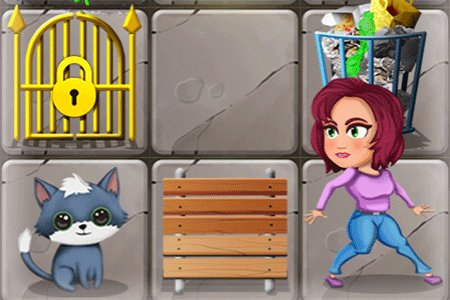 Jeu Push Puzzle Rescue Adventure