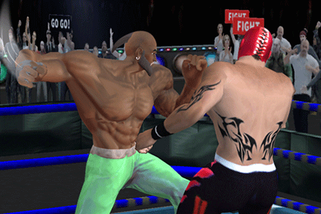 Jeu Real Boxing Fighting