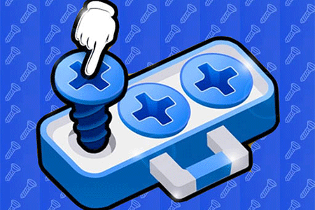 Jeu Screw Jam Fun Puzzle