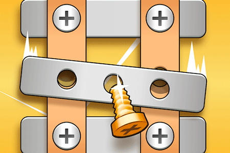Jeu Screw Puzzle