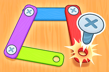Jeu Screw Puzzle Master