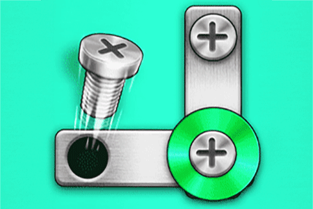Jeu Screw Puzzle Nuts and Bolts
