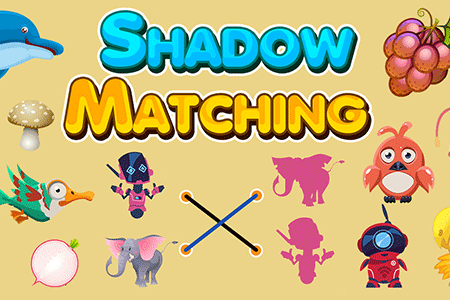 Jeu Shadow Matching