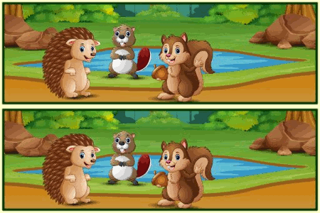 Jeu Différences Forêt