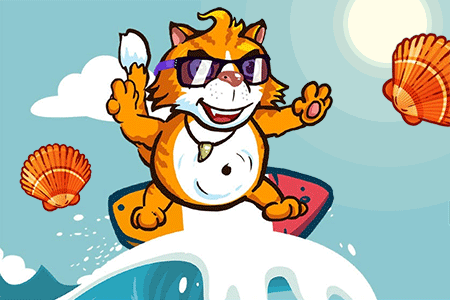 Jeu Surfer Cat