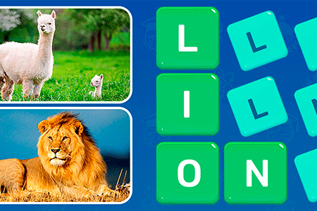 Jeu Mots Cachés Puzzle