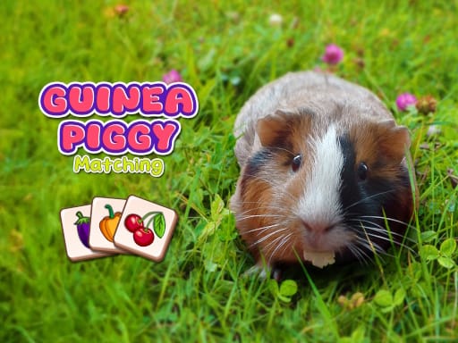 Jeu Cochon d