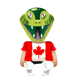 Avatar de Tiger12345