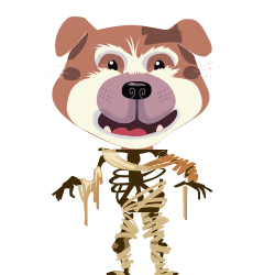Avatar de Heidi8