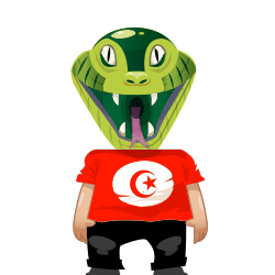 Avatar de Tunisiano35