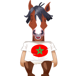 Avatar de hichamraja