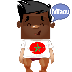 Avatar de moulay20