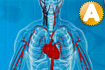 Jeu Bio Inc, Biomedical Plague