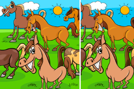 Jeu Diff&eacute;rences Animaux