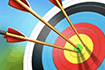 Archery Training