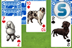 Jeu Best Show Solitaire Arcade