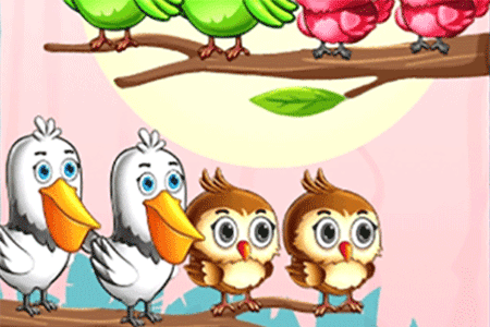 Bird Sort Color Sorting