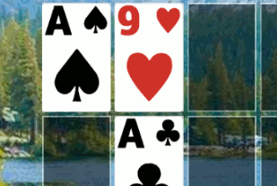 Cartes Puzzle